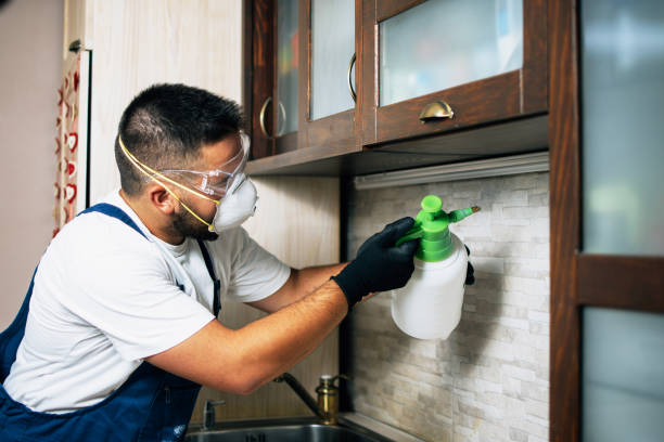 Best Local Pest Control Services  in Atasdero, CA