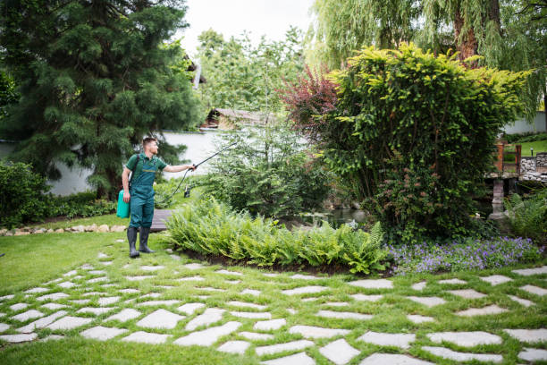 Trusted Atascadero, CA Pest Control Experts