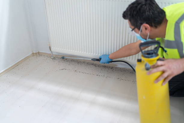 Best Pest Control Treatment  in Atasdero, CA